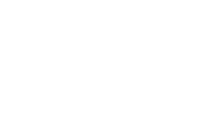 logo mt home